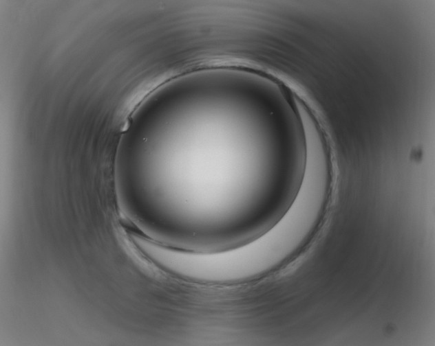 X0000116790897200912181251
