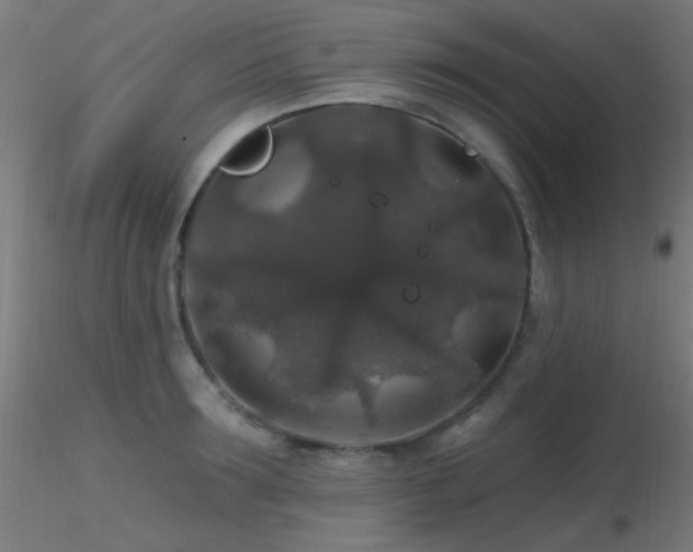 X0000116790899200912181251