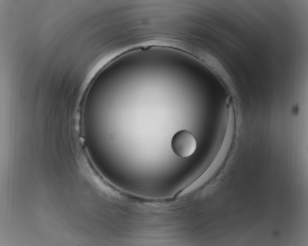 X0000116790900200912181251