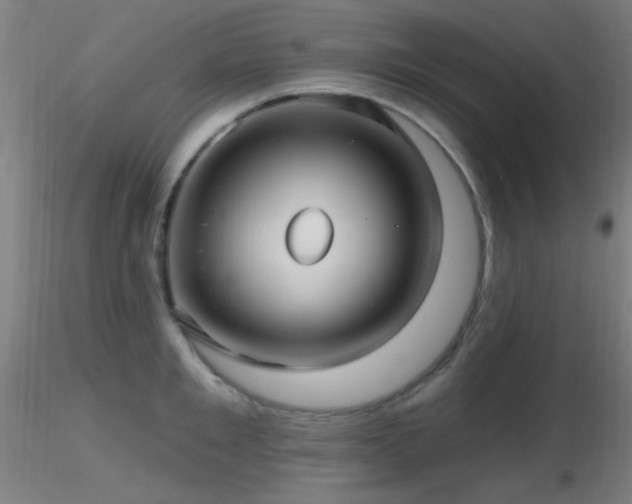 X0000116790901200912181251