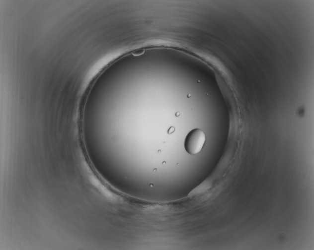 X0000116790902200912181251