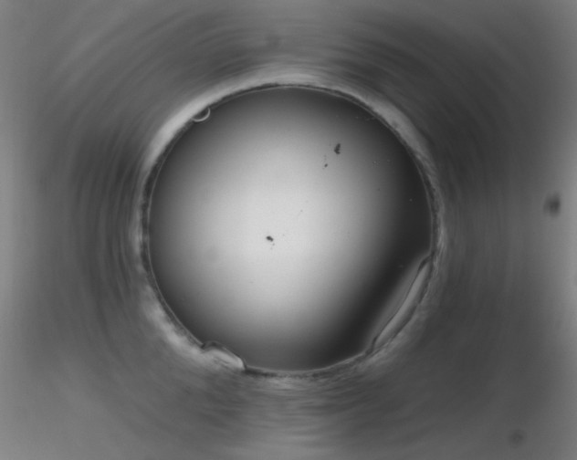 X0000116790904200912181251