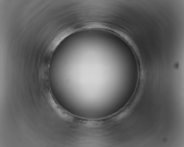X0000116790905200912181251