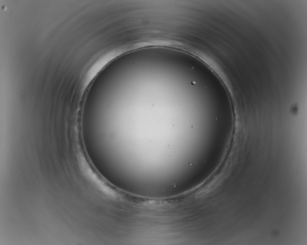 X0000116790906200912181251