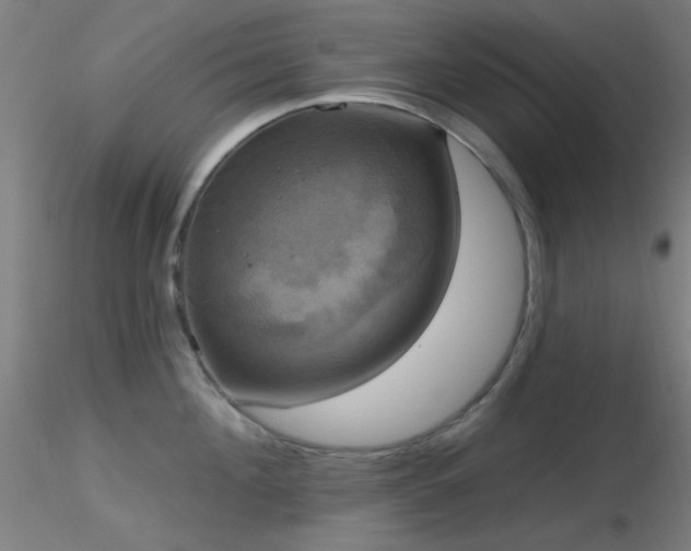 X0000116790908200912181251