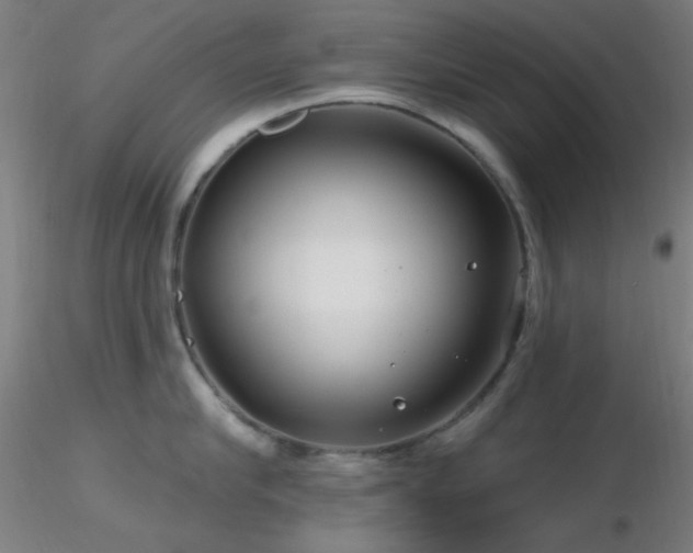 X0000116790910200912181251