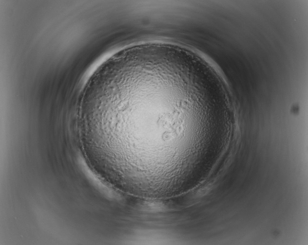 X0000116790911200912181251