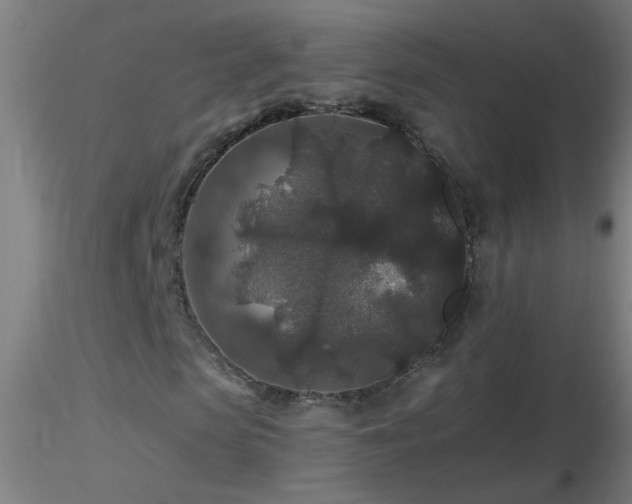 X0000116790913200912181250