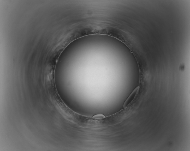 X0000116790914200912181250