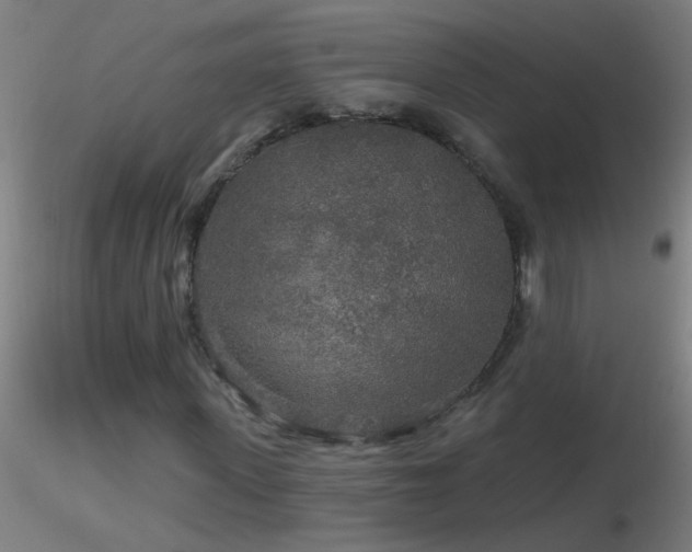 X0000116790915200912181250