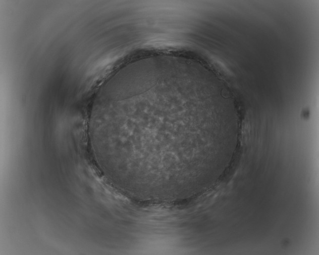 X0000116790917200912181250