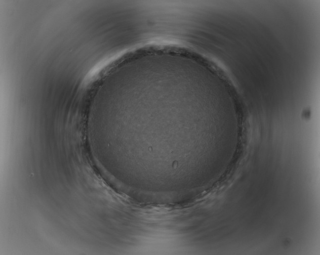 X0000116790919200912181250