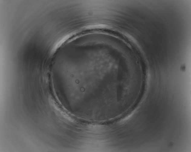 X0000116790921200912181250