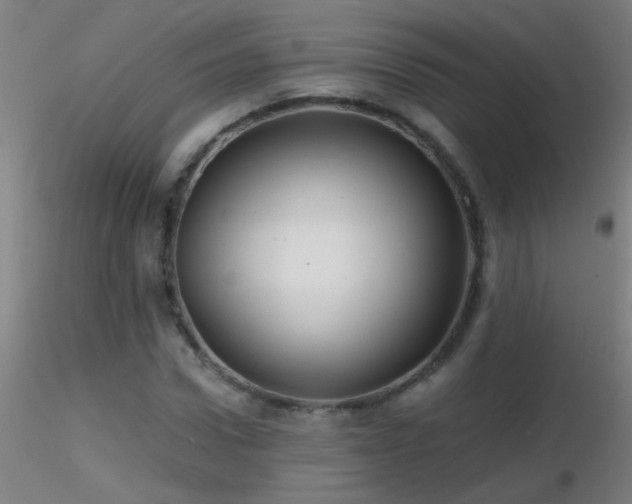 X0000116790922200912181250