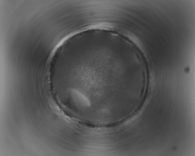 X0000116790923200912181250