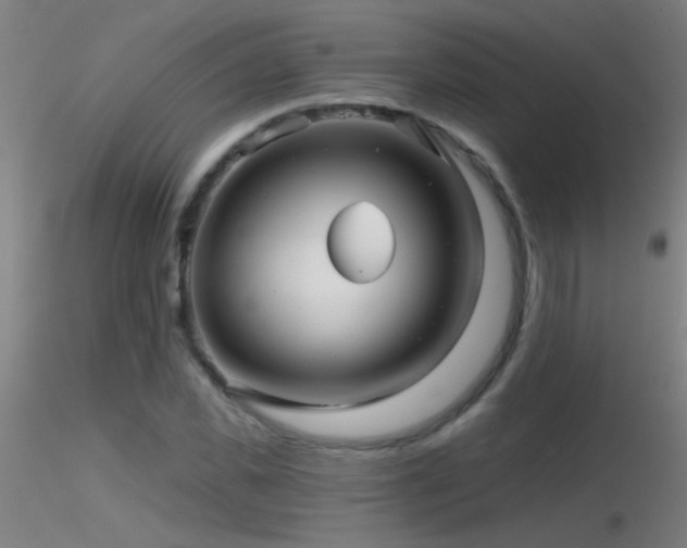 X0000116790925200912181250