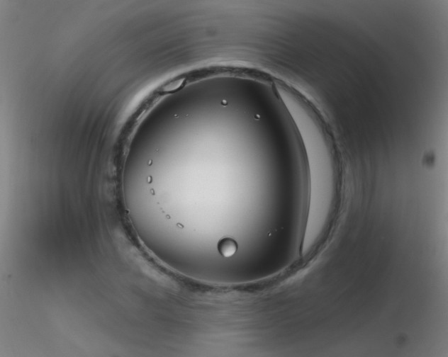 X0000116790926200912181250