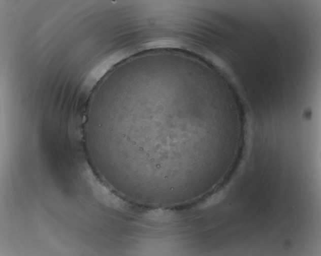 X0000116790929200912181250