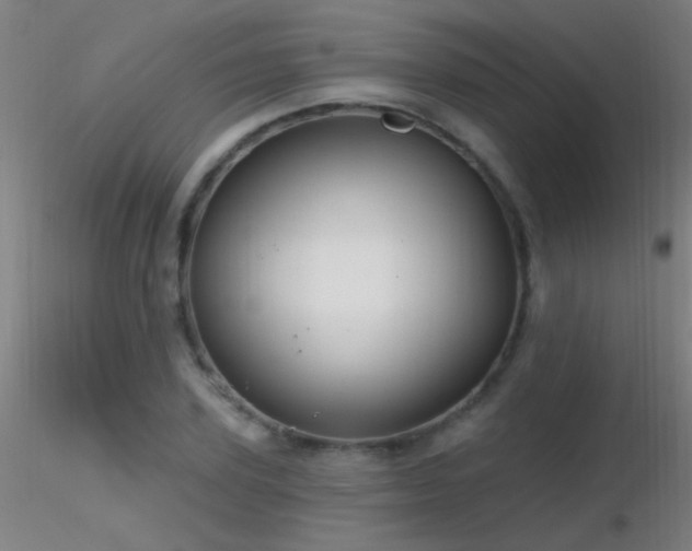 X0000116790931200912181250