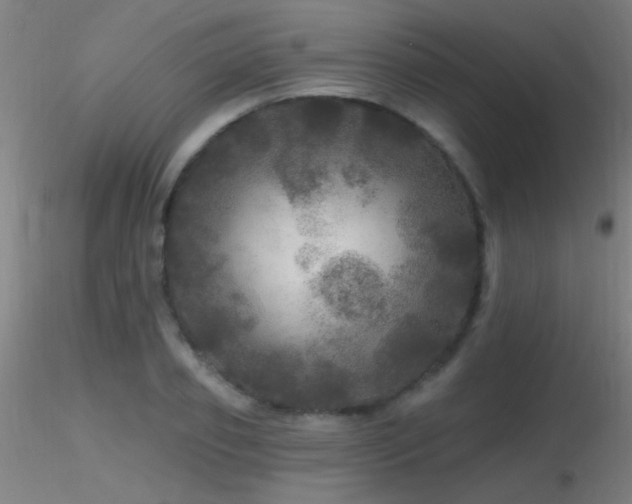 X0000116790933200912181250
