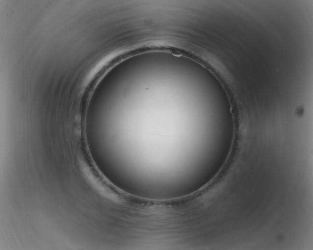 X0000116790934200912181250