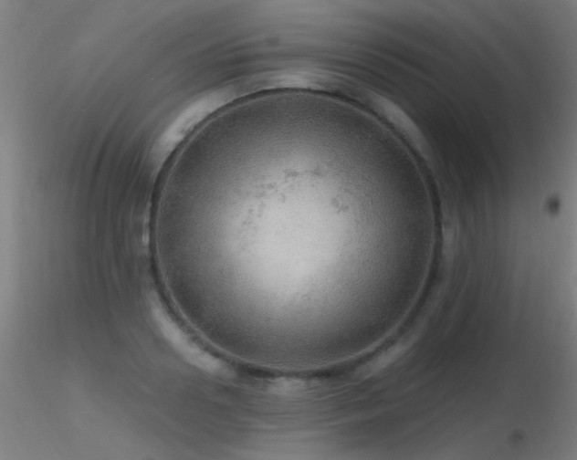 X0000116790938200912181250