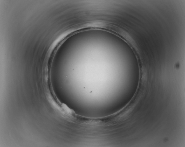 X0000116790939200912181250