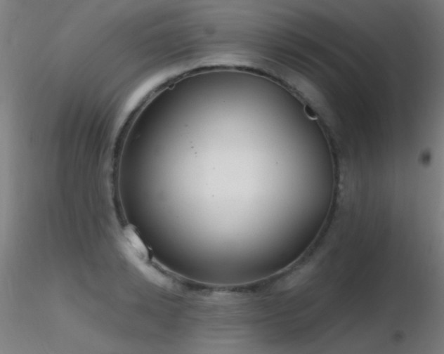 X0000116790942200912181250