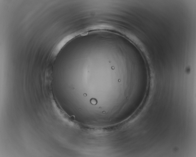 X0000116790945200912181250