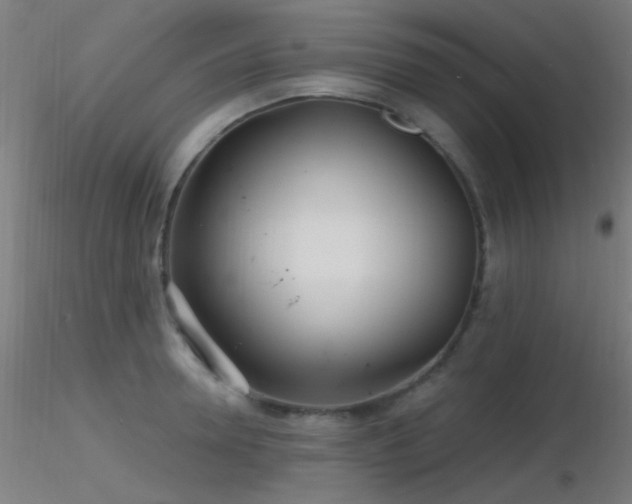 X0000116790946200912181250