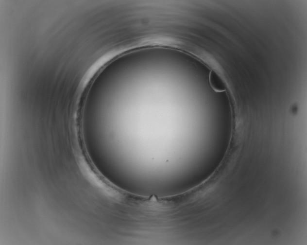 X0000116790947200912181250