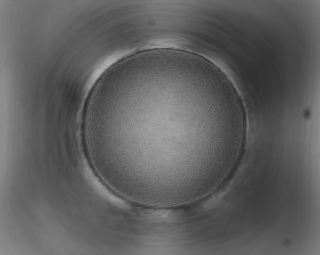 X0000116790949200912181250