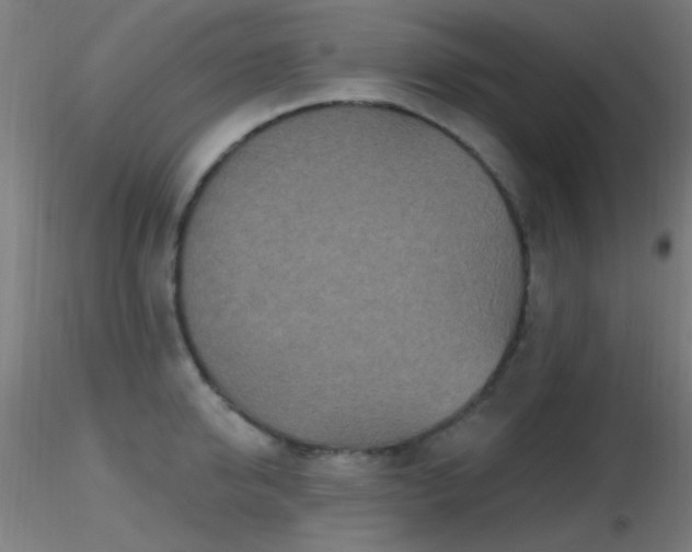 X0000116790950200912181250