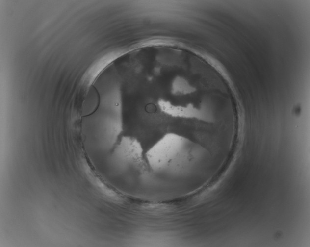 X0000116790953200912181251