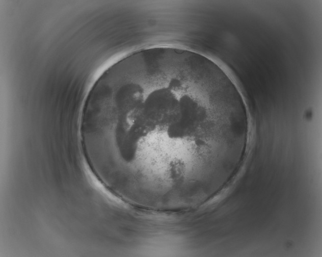 X0000116790957200912181251
