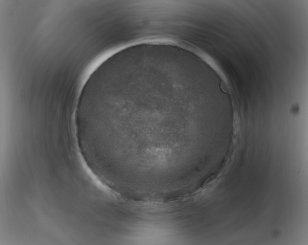 X0000116790959200912181251