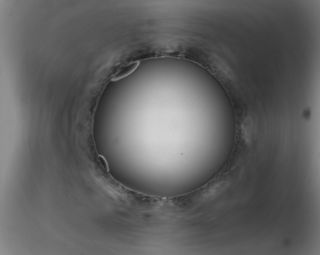 X0000116790961200912181250