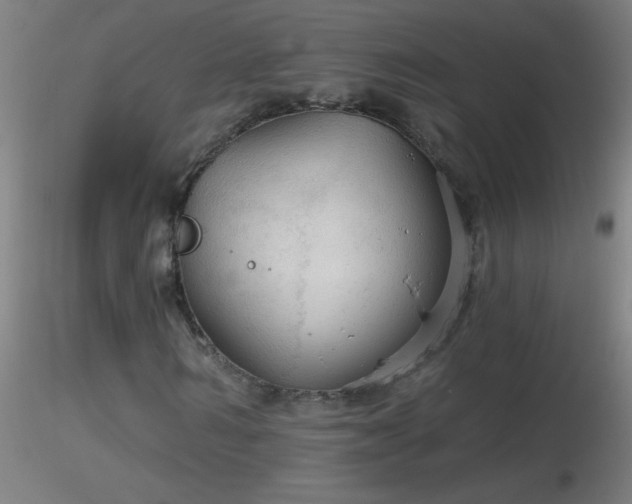 X0000116790962200912181250