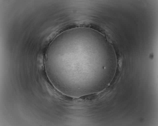 X0000116790963200912181250