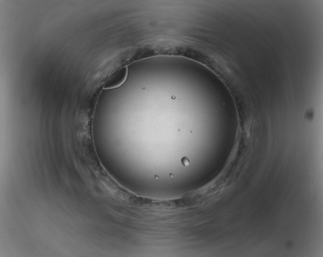 X0000116790964200912181250