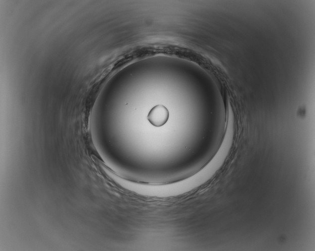 X0000116790965200912181250