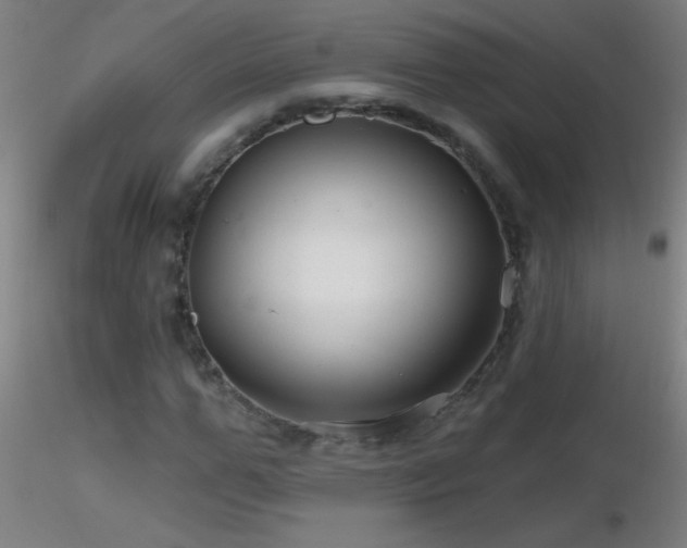 X0000116790967200912181250