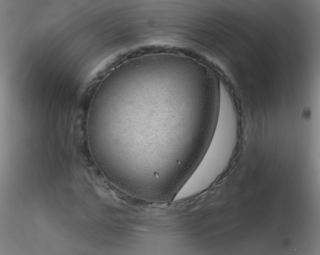 X0000116790968200912181250