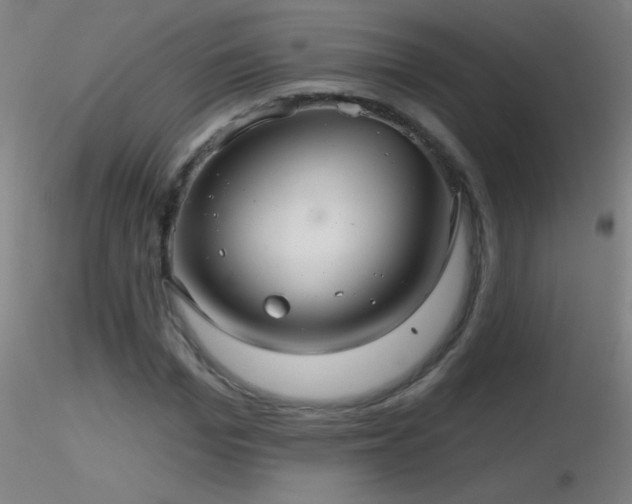 X0000116790969200912181250
