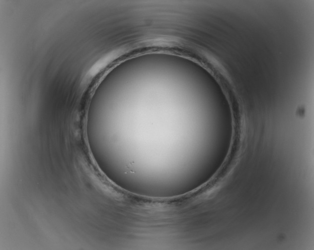 X0000116790970200912181250