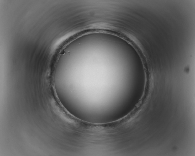 X0000116790971200912181250