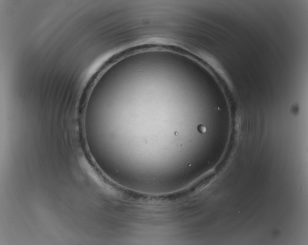 X0000116790972200912181250