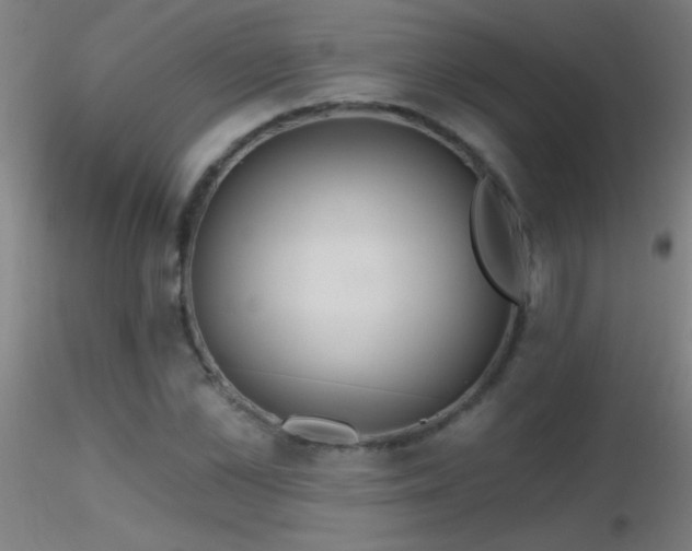 X0000116790973200912181250