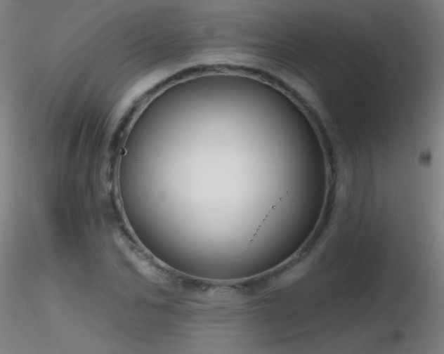 X0000116790974200912181250