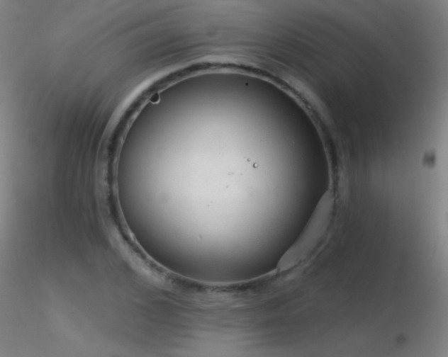 X0000116790976200912181250